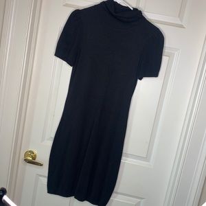 Express Sweater dress
